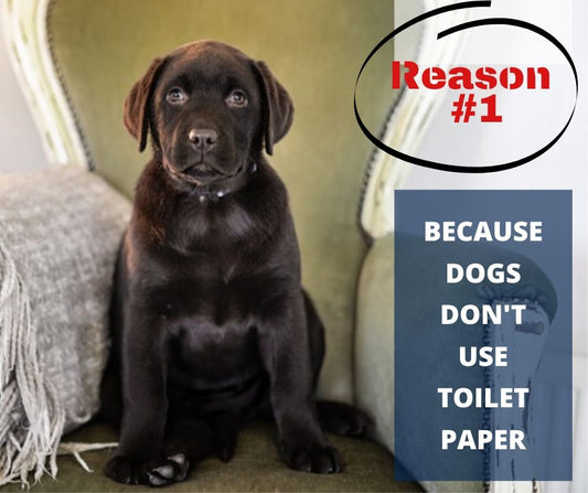 TOP 10 REASONS YOU NEED A WATERPROOF BLANKET - REASON #1 - BECAUSE DOGS DON'T USE TOILET PAPER