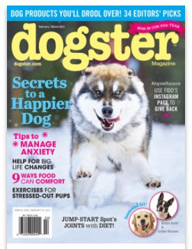 BLUE ZOCA WINS DOGSTER MAGAZINE'S 2021 EDITORS' CHOICE AWARD!!