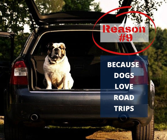 TOP 10 REASONS YOU NEED A WATERPROOF BLANKET - REASON #9 - BECAUSE DOGS LOVE ROAD TRIPS